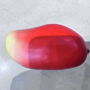 DEC mangue rouge artificielle