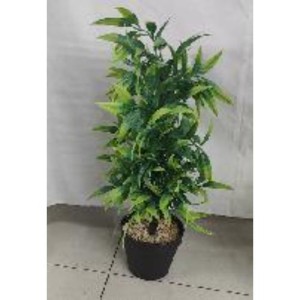 FLE plante artificielle 