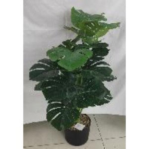 FLE plante artificielle 
