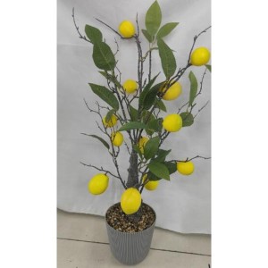 FLE plante artificielle fruitiere