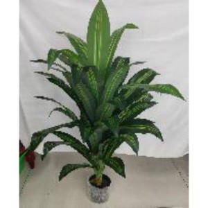 FLE plante artificielle 