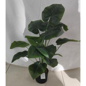 FLE plante artificielle