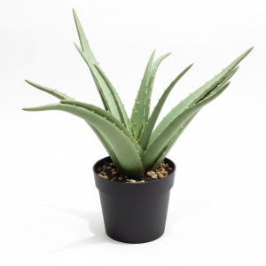 JAR plante artificielle 30cm aloes