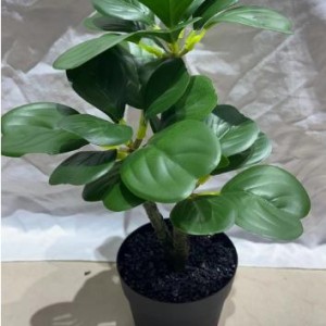 DEC plante en pot noir avec sable noir artificielle 25cm