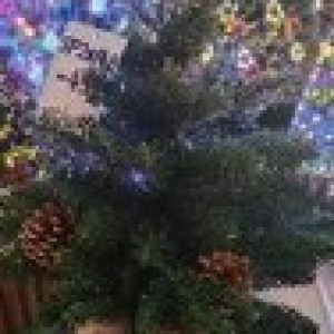 XMS sapin de noel vert 45cm