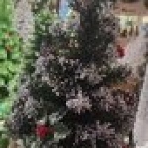 XMS sapin de noel vert avec neige 30cm
