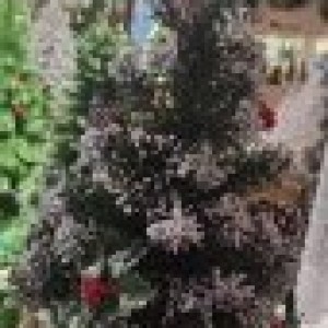 XMS sapin de noel vert avec neige 60cm