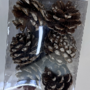 12pcs pomme de pin