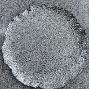 XMS plat argentée 33 cm
