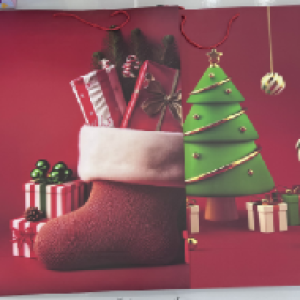 XMS grand sac en papier 72 x 50 x 18 cm