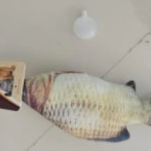 PSH jouet pour animaux poisson
