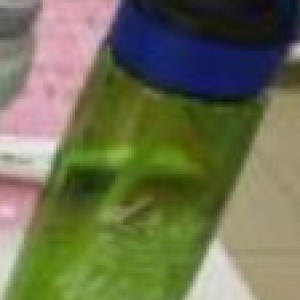 PLA bouteille en plastique 750ml couleur ass