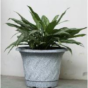 JAR pot fleur rayer moyen