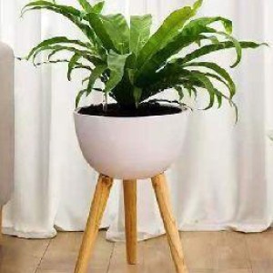 JAR pot de fleurs 30.5x40