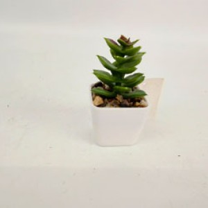 JAR pot de fleurs 39.5x75